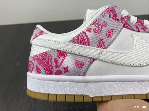 Nike Dunk Red Gum CT5053-061 Rose Low SB White 0528